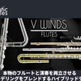vwinds-flutes-thumbnails